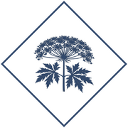 Уничтожение борщевика