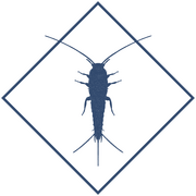 Уничтожение чешуйниц в Уфе и Республике Башкортостан