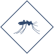 Уничтожение комаров в Уфе и Республике Башкортостан