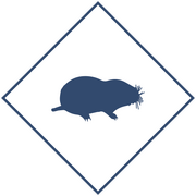 Уничтожение кротов в Уфе и Республике Башкортостан