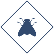 Уничтожение мух в Уфе и Республике Башкортостан