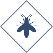 Уничтожение ос в Уфе и Республике Башкортостан