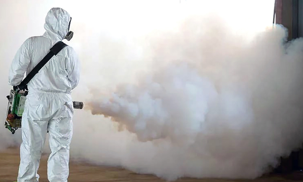 Борьба с древоточцем: способы и методы