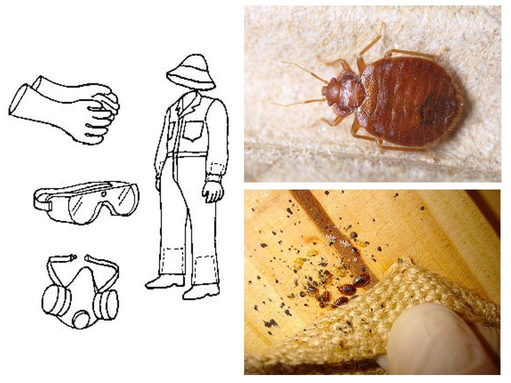 Как избавиться от клопов в квартире самостоятельно