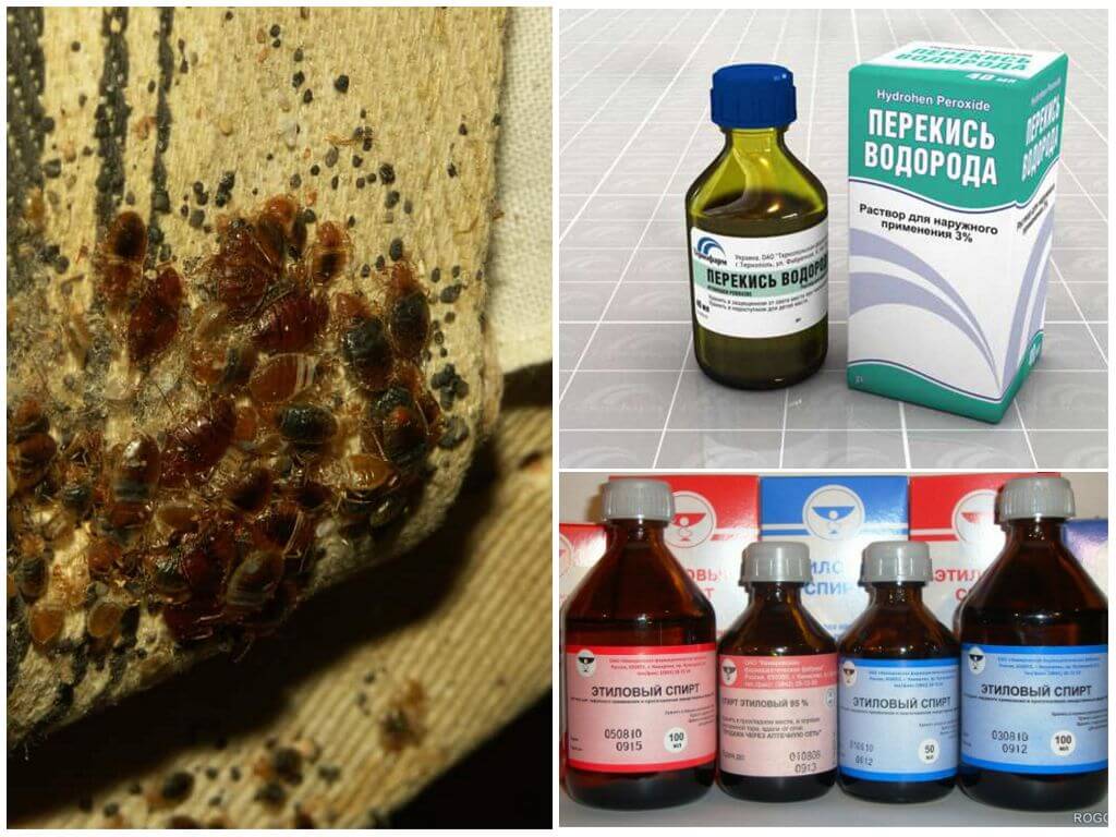 Как вывести клопов из квартиры в домашних условиях: профессиональные советы и народные методы