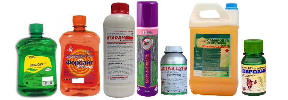 Как избавиться от клещей на дачном участке