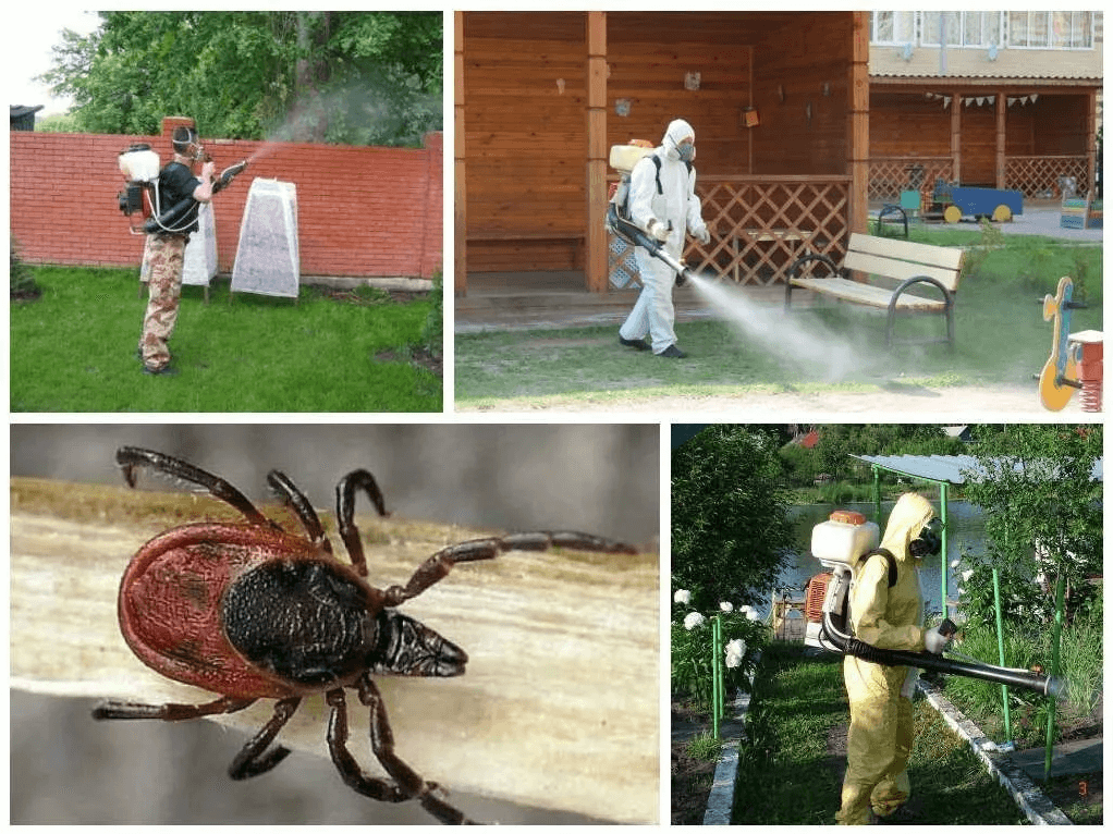 Уничтожение клещей