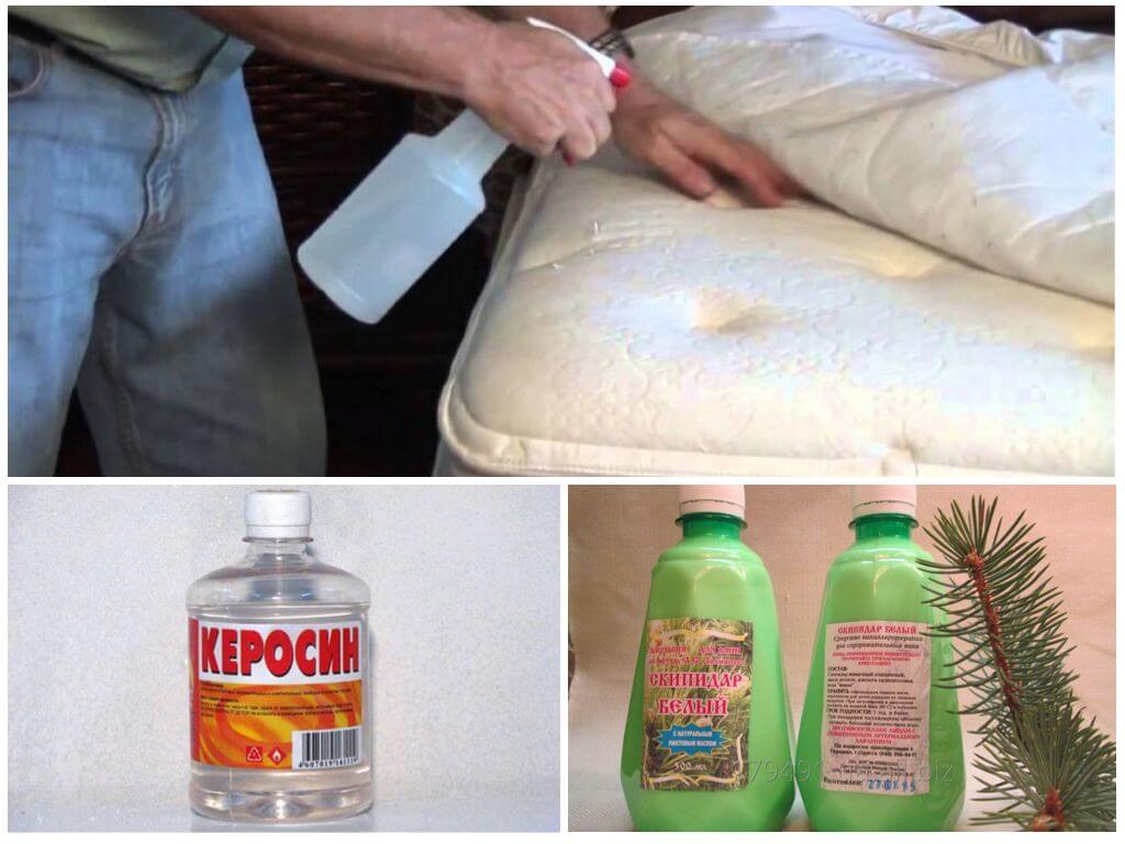 Народные методы борьбы с клопами