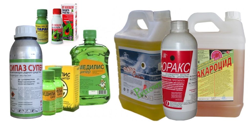 Чем обработать участок на даче от клещей