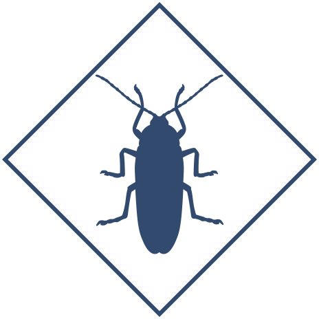 Дезинсекция в Уфе и Республике Башкортостан